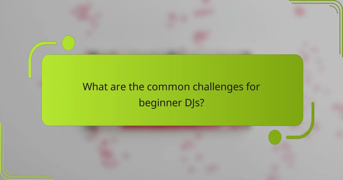What are the common challenges for beginner DJs?